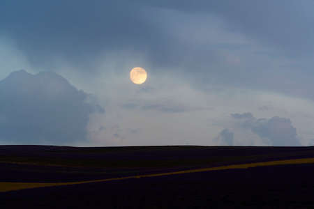Natural landscape with a view of the lavender field in the evening under the moonの写真素材
