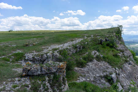 Natural landscape with a green field under a blue skyの写真素材