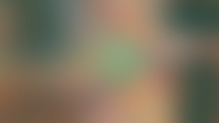 Abstract gradient pastel multicolored background. design, artの写真素材