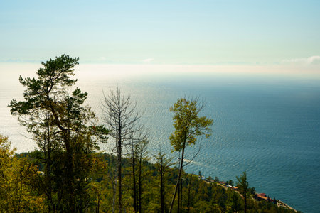 Natural landscape with trees near Lake Baikal, Russiaの写真素材
