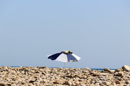 beach umbrella at the seasideの写真素材