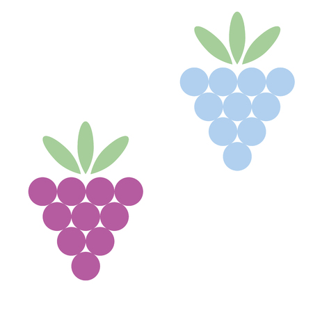 vector illustration of blackberries and raspberriesのイラスト素材