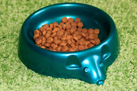 dry cat food in a green bowl