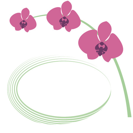 beautiful orchid flowerのイラスト素材