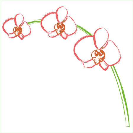 beautiful orchid flowerのイラスト素材