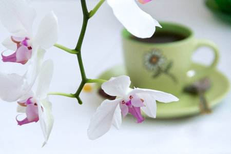 green color cup of teaの写真素材