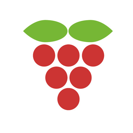 red raspberry with green leavesのイラスト素材