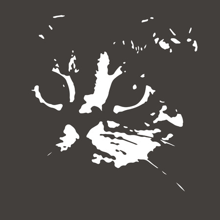 sketch of the muzzle of Scottish fold catのイラスト素材