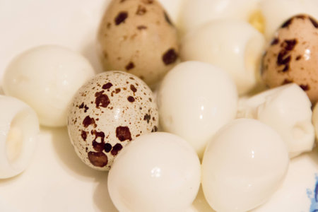 spotted quail eggs on a white plateの写真素材