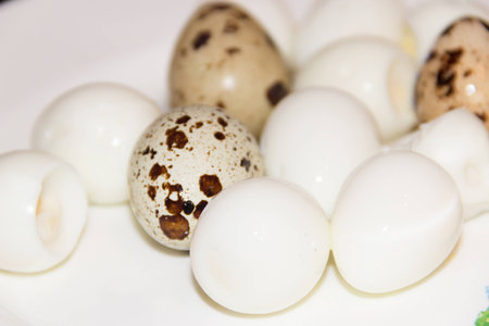 spotted quail eggs on a white plateの写真素材