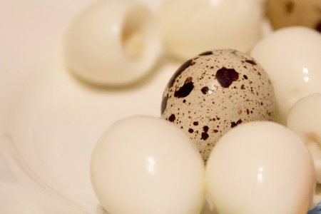 spotted quail eggs on a white plateの写真素材