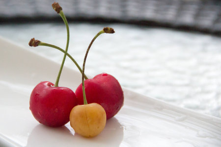 sweet berries sweet cherry and twigsの写真素材