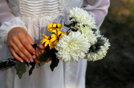 white autumn flowers in woman hands.Female hands with white flowersの写真素材