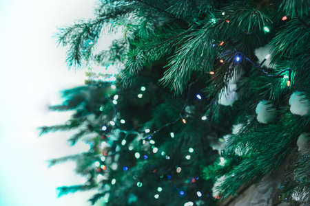 Selective focus Christmas tree with multicolored lights background. Green branches with new year lights. Outdoor festive wallpaper.の写真素材