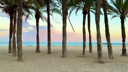 A serene and tranquil beach scene showcasing swaying palm trees set against a vibrant and colorful...