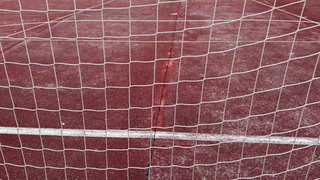 A versatile sports court with a soccer goal and basketball hoop, perfect for various sports...