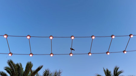 A charming bird on a wire, decorated with lights, under a clear blue sky during the day, creates a...