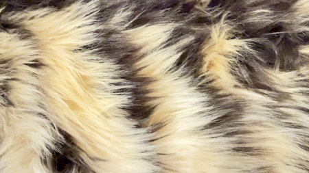 Here is an upclose view showcasing a soft, textured fur pattern that beautifully features natural...