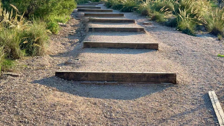 Discover and explore the serene wooden steps along a beautiful nature trail, enveloped by lush,...