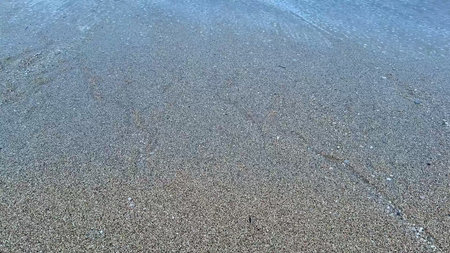 Gentle waves crash on warm sand, creating a serene beach atmosphere perfect for promoting relaxation...
