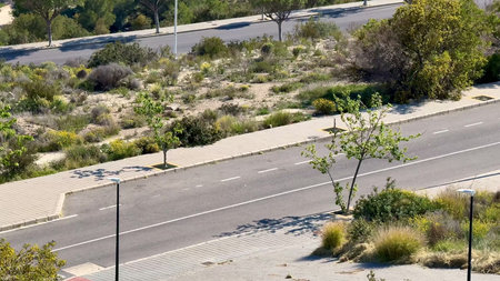 A scenic glimpse of an urban roadway lined with greenery and sidewalks, ideal for nature and city...