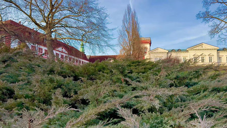 An exquisite and beautiful blend of historical buildings alongside vibrant greenery beneath a clear...