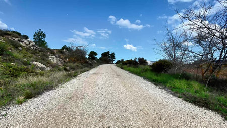 A scenic gravel road gracefully bordered by lush trees and vibrant greenery under a beautiful clear blue skyの写真素材