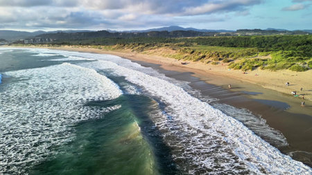 Discover a peaceful sandy beach, where gentle waves meet a lush, green landscape under a scenic sky.の写真素材