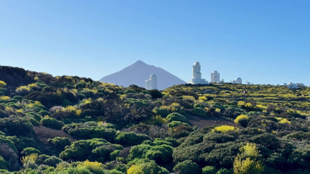 A beautiful view with a captivating mountain backdrop, lush greenery, and vibrant yellow wildflowersの写真素材