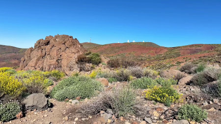 This is a stunning natural scenery that showcases rocky terrain and colorful vegetation beneath a clear blue skyの写真素材