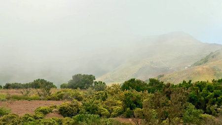 A beautiful and serene landscape displaying misty mountains, surrounded by lush, vibrant vegetation and fogの写真素材