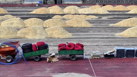 In a large industrial space, grain piles and equipment carts display the ongoing harvest activitiesの写真素材