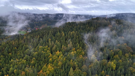 The aerial view highlights lush green forests with mist over a calm autumn landscape, crafting a...