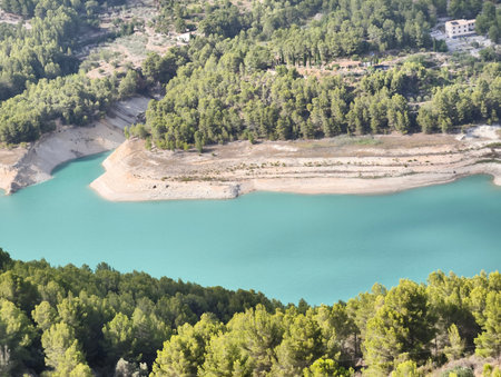 A stunningly peaceful view of a vibrant turquoise lake beautifully framed by lush, dense green...
