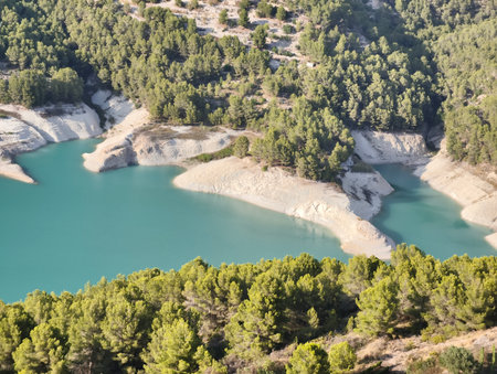 Feast your eyes on a breathtaking aerial view of a serene lake lovingly embraced by vibrant greenery and rocky shoresの写真素材