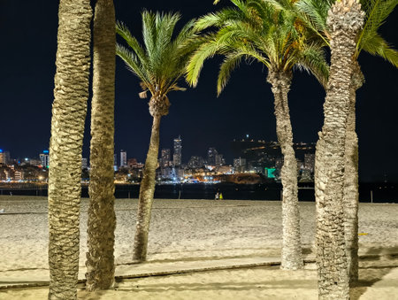 silhouettes framing city skyline at dusk, palm silhouettes against distant city skyline at sunsetの写真素材
