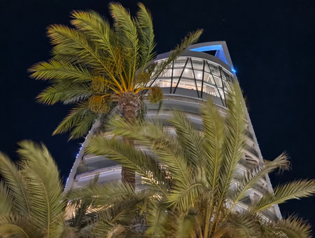 nighttime glass architecture details, dramatic night shot of geometric glass skyscraper with palmsの写真素材