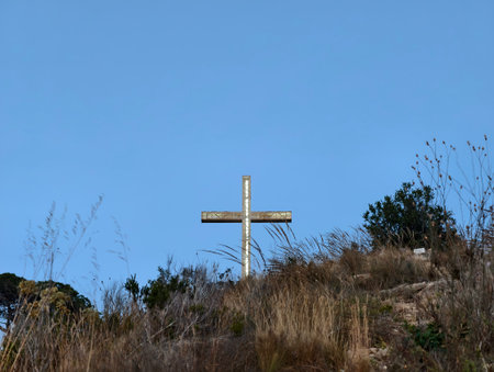 peaceful outdoor space with sparse flora, tranquil scene featuring windblown grass and open skyの写真素材