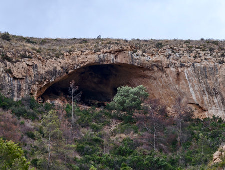 old arch with limestone layers and junipers, ancient stone arch with dark caves beneath junipersの写真素材