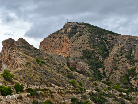 comprehensive depiction of mountain scenery highlighting craggy ridges and pine forest vistasの写真素材