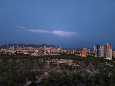 A breathtaking view showcasing an impressive city skyline at twilight, beautifully framed by nature and the oceanの写真素材