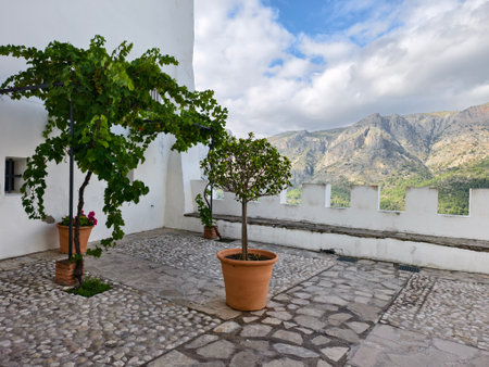sunny courtyard with greenery and stone, bright mediterranean space with potted trees and whiteの写真素材
