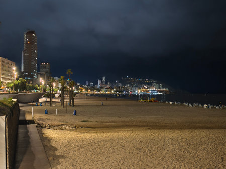 palmlined walkway with city lights, seaside promenade illuminated by warm lamp posts at nightの写真素材