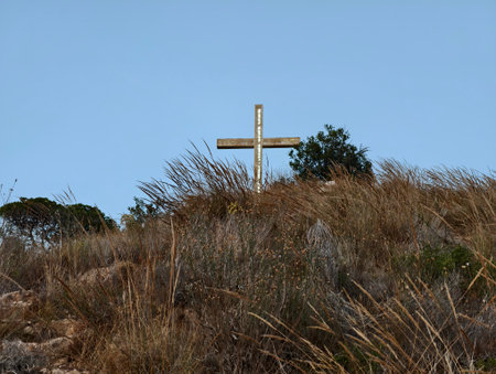 grassy memorial with cross reflection, weathered wooden cross amid tranquil grasses and shrubsの写真素材