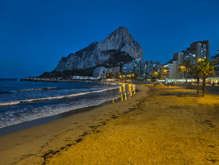night at peaceful beach, solitary palms along peaceful sandy shoreline beneath deep blue night skyの写真素材