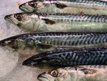 mackerel showcasing freshness and vibrancy, seafood display emphasizing freshness and nutritional