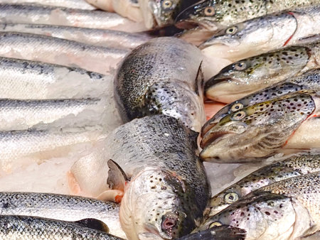 seafood product display, closeup of icy tuna with reflective skin and distinctive spots