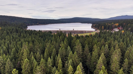 Lush foliage overlooks serene waterbody and village, Vast treetops reveal tranquil lake and charming settlement sceneの写真素材