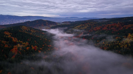 Serene aerial landscape, Morning mist over hilly terrain, Calm river valley shrouded in mist at sunrise from aboveの写真素材