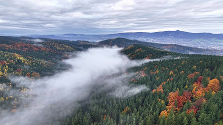 Scenic mountain scene, Cinematic aerial of colorful woodland valley enveloped by rolling fog and...